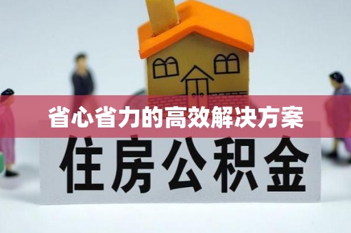 常州省心省力的高效解决方案